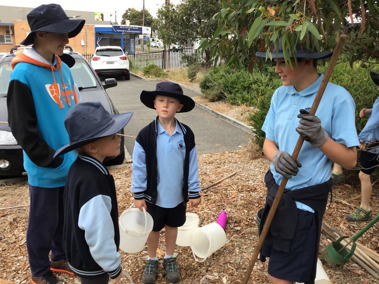 Environmental Updates • Seacliff Primary School