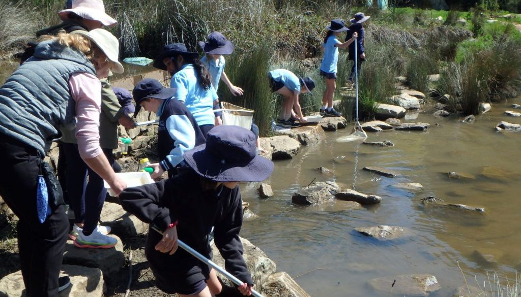 2021 Parents Fishing for Invertebrates Student Leaders Green Adelaide Oaklands Wetlands